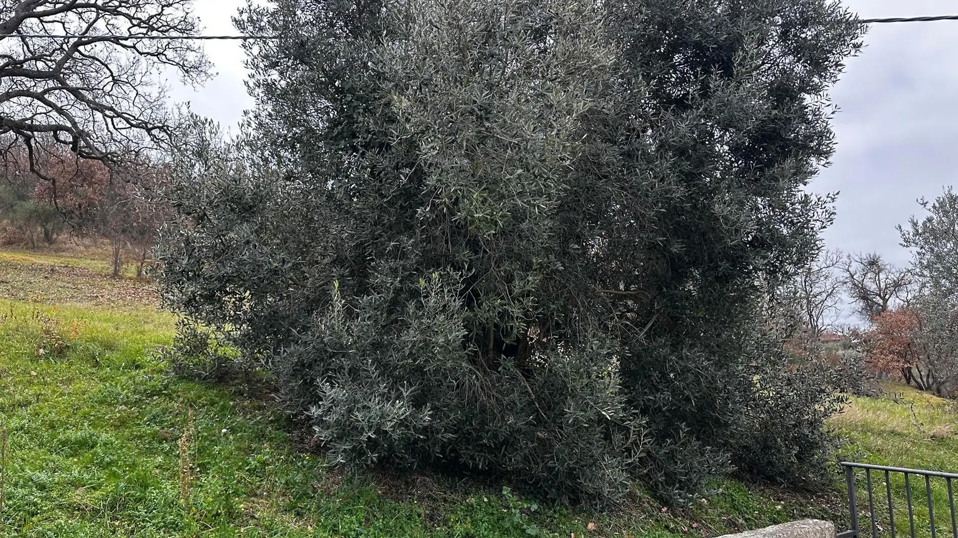 La Casa Del Sole Vila Castiglione dʼOrcia Itália