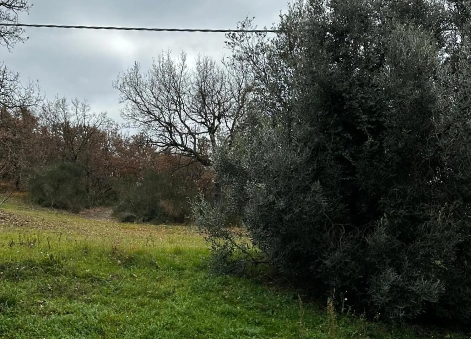 La Casa Del Sole Vila Castiglione dʼOrcia Casa de Férias